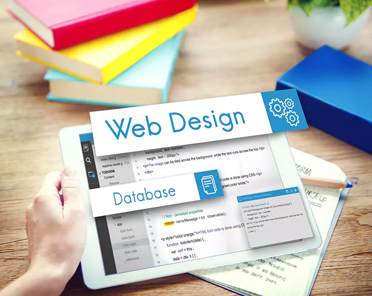 Best Website Design and Development Company in Noida